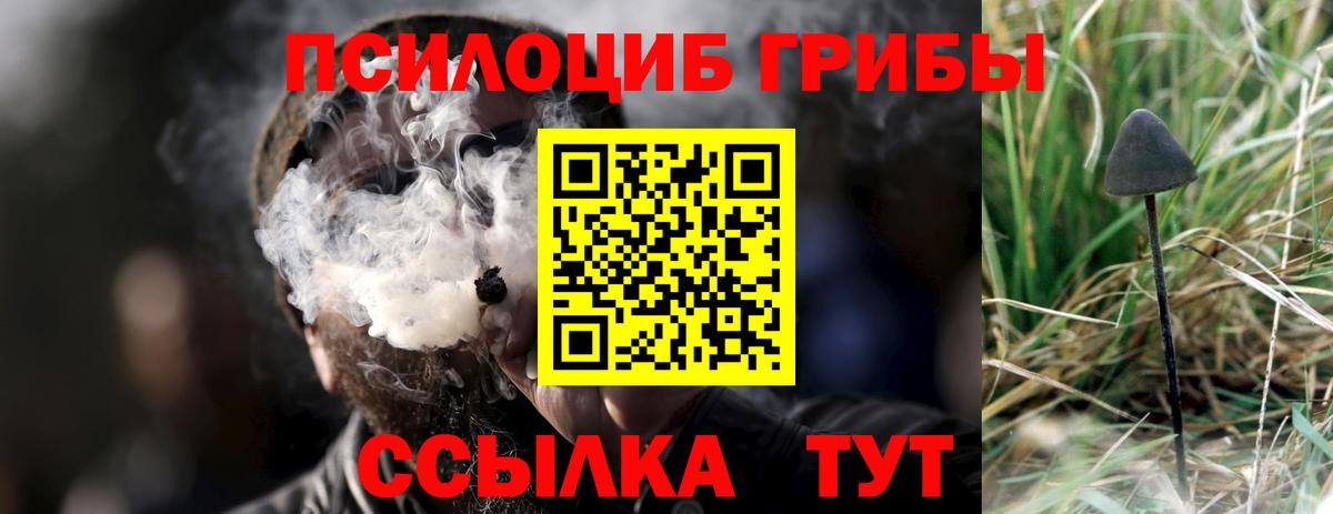 Галлюциногенные грибы ЛСД Унеча
